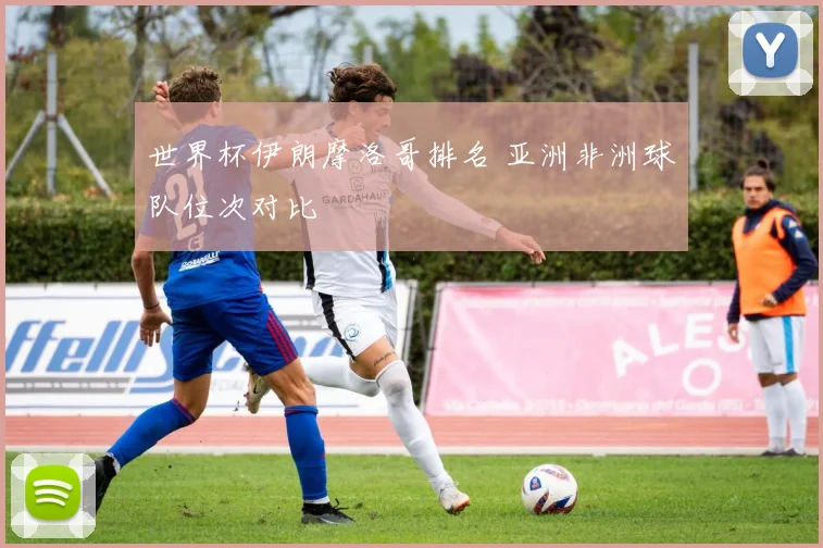 世界杯伊朗摩洛哥排名 亚洲非洲球队位次对比