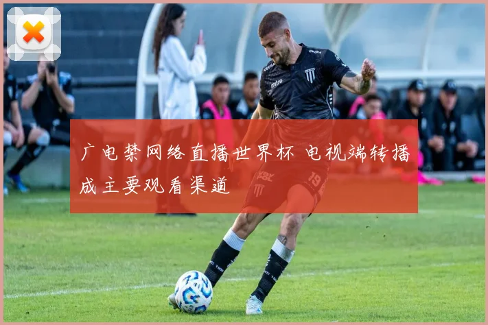 广电禁网络直播世界杯 电视端转播成主要观看渠道