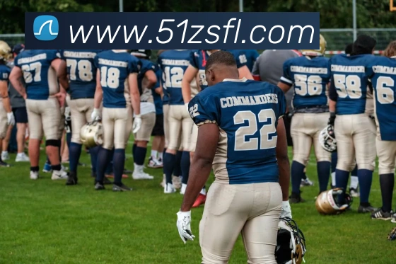 半岛官网网页版入口发展历程